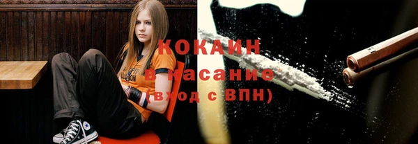 амф Заволжск