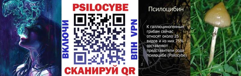 Псилоцибиновые грибы мицелий  Купить  Вязьма 