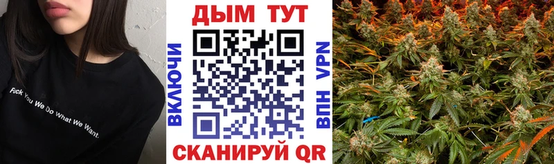 Бошки марихуана индика  Купить закладки  Вязьма 